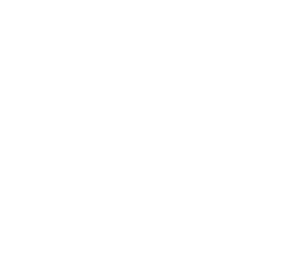 Vision Alchemy botanical flask logo
